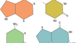 LInk to All About DNA